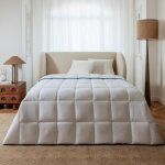 Couette �t� coton et polyester 220x240 �pais 3cm - c�leste - morphea