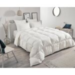 Couette - toison dor - daisy chaude - 220x240cm - plumette et duvet