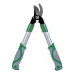 Coupe - branche 40 cm
