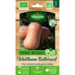 Sachet graines courge musquée waltham butternut bio - cucurbita pepo - Sachet graines courge musquée waltham butternut bio - cucurbita pepo -