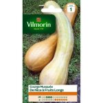 Graines - vilmorin - courge musqu�e de nice � fruits longs