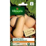 Graines - vilmorin - courge musqu�e waltham butternut - l�gumes dautrefois