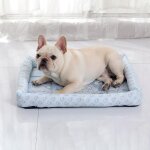 Coussin de glace - non spcifi - 61cm x 51cm - bleu - rectangulaire - pour chats