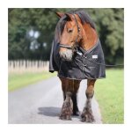 Couverture dextrieur pour cheval kavalkade draft horse - black - 300 cm