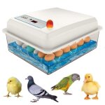 Couveuse oeuf automatique 20 oeufs incubateur oeuf automatique retournement automatique des ufs a8
