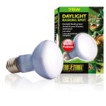 Ampoule - exo terra - daylight baskingspot - 75 w - lumi�re du jour - uva pour reptiles