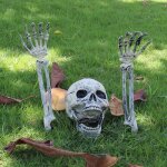 Décoration de crâne dhalloween horrible accessoires pour halloween Décoration de crâne dhalloween horrible accessoires pour halloween
