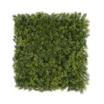 D�coration murale en plantes artificielles houttuynia - cordata 50 x 50 cm