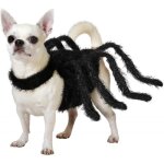Dguisement daraigne pour chien