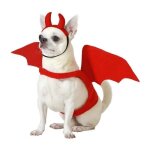 Dguisement de diable pour chien