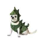 Dguisement de dinosaure pour chien
