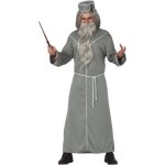 Dguisement directeur magicien albus - harry potter - gris - adulte - intrieur