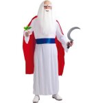 D�guisement - druide - tunique avec cape - ceinture - perruque incluse