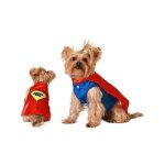 Dguisement de super hro pour chien