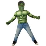 Dguisement hulk deluxe - rubies costume co - hulk deluxe costume top set - pour enfant - intrieur