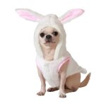 Dguisement de lapin blanc pour chien