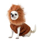 Dguisement de lion pour chien