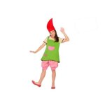 Dguisement de nain de jardin ac - dco pour fille de 7  9 ans - costume complet multicolore en polyester ...