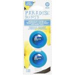 Dsodorisant - paradise scents - pack duo - parfum de vanille - 60 jours de fracheur - pour voiture