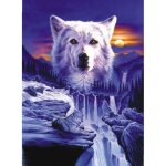 Diamant complet de bricolage 5d diy diamond painting broderie point de croix 3d broderie 3d home decor ...