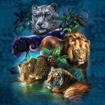 Diamond painting strass dcoration noel broderie diamant kit peinture diamant 5d diy kit canevas kits ...