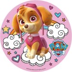 Disque azyme 20 cm pat patrouille decor gateau anniversaire paw patrol