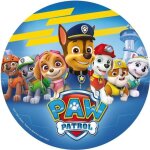 Disque azyme 20 cm pat patrouille - paw patrol decor gateau anniversaire