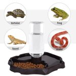 Distributeur deau pour reptile - oem - 2 en 1 anti debordement - marron