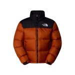 Doudoune capuche 1996 retro - the north face.
