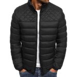 Doudoune homme - marque courte - epaisseur - col standup - cotton - noir