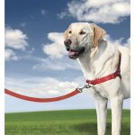 Harnais l easy walk® - easywalk - rouge - pour chien Harnais l easy walk® - easywalk - rouge - pour chien