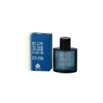 Eau de parfum homme night blue mission 100 ml Eau de parfum homme night blue mission 100 ml