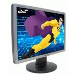 Ecran 22 samsung syncmaster 2243nw ls22mynksb / edc tft vga 1680x1050 wide 16:10