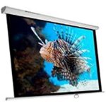 cran de projection - phoenix technologies - phpantalla - 240 - 135 pouces - tissu rsistant - manuel ...