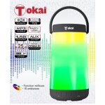 Enceinte led 360 noire avec radio fm - toka - fonction tws - autonomie 6 heures - rsistant aux claboussure ...