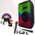 Enceinte portable sur batterie karaoke enfant 100w ibiza sigma20 usb bluetooth - 1 micro sans fil - 1 ...