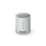 Enceinte sans fil bluetooth ultra portable sony srs - xb100 gris