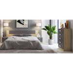 Ensemble chambre  coucher tte de lit + table de chevet + chiffonnier coloris puccini graphite