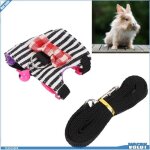 Ensemble laisse et harnais - v geby - furet - confortable - respirant - taille s / m