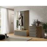 Ensemble meuble dentrée avec porte - manteau et miroir + commode - collection nemo Ensemble meuble dentrée avec porte - manteau et miroir + commode - collection nemo