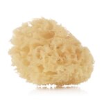 Eponge naturelle - jane - 2 units - soins de bb doux pour nouveau - ns