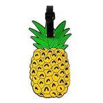 tiquette  bagages  valise  sac  dos porte adresse - ananas