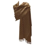 Etole �charpe pashmina et soie - bicolore marron beige