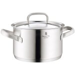 Faitout bas gourmet plus inox marmite 16cm 19?