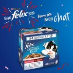 Felix tendres effil�s en gel�e d�licieux duos viandes - pour chat adulte - 24 x 100 g