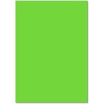 Feuilles de carton - folia bringmann - 50 x 70 cm - 220 g / m� - lot de 25 - vert clair