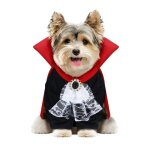 Fiestas guirca s. l. . dguisement de vampire pour. s.