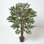 Figuier pleureur ficus benjamina vert en pot 122 cm