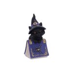 Figurine de chat et livre de sortilges noir violet - nemesis now - 127 cm