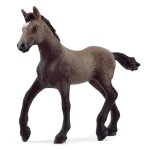 Figurine - schleich - poulain paso p�ruvien - horse club